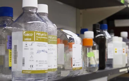 Bottled chemicals on a shelf